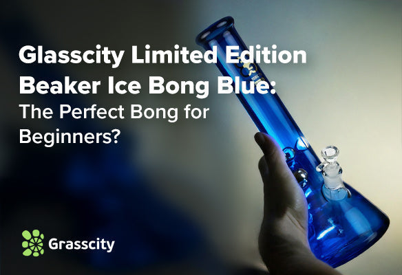 Glasscity Limited Edition Beaker Ice Bong Blue: The Perfect Bong for Beginners?