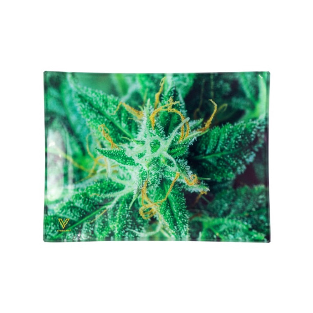 V Syndicate Small Glass Rolling Tray | Strain AK-47