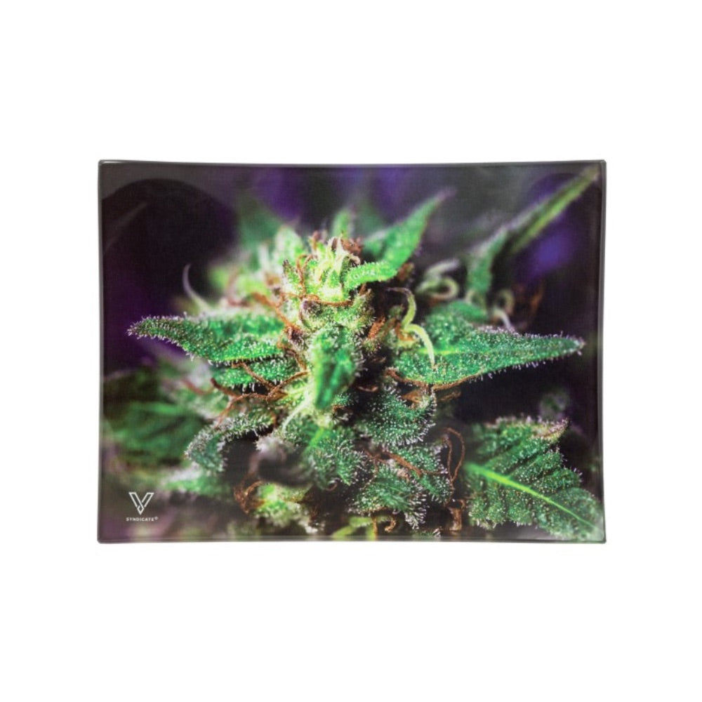 V Syndicate Small Glass Rolling Tray | Blue Dank